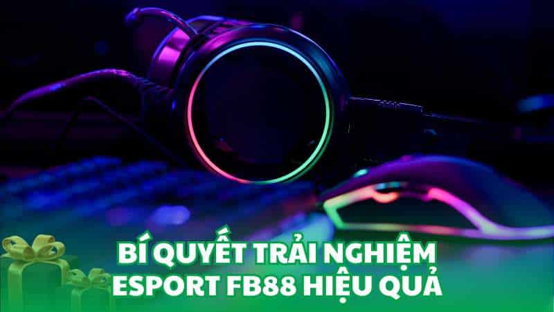 Bí quyết trải nghiệm ESport FB88 hiệu quả